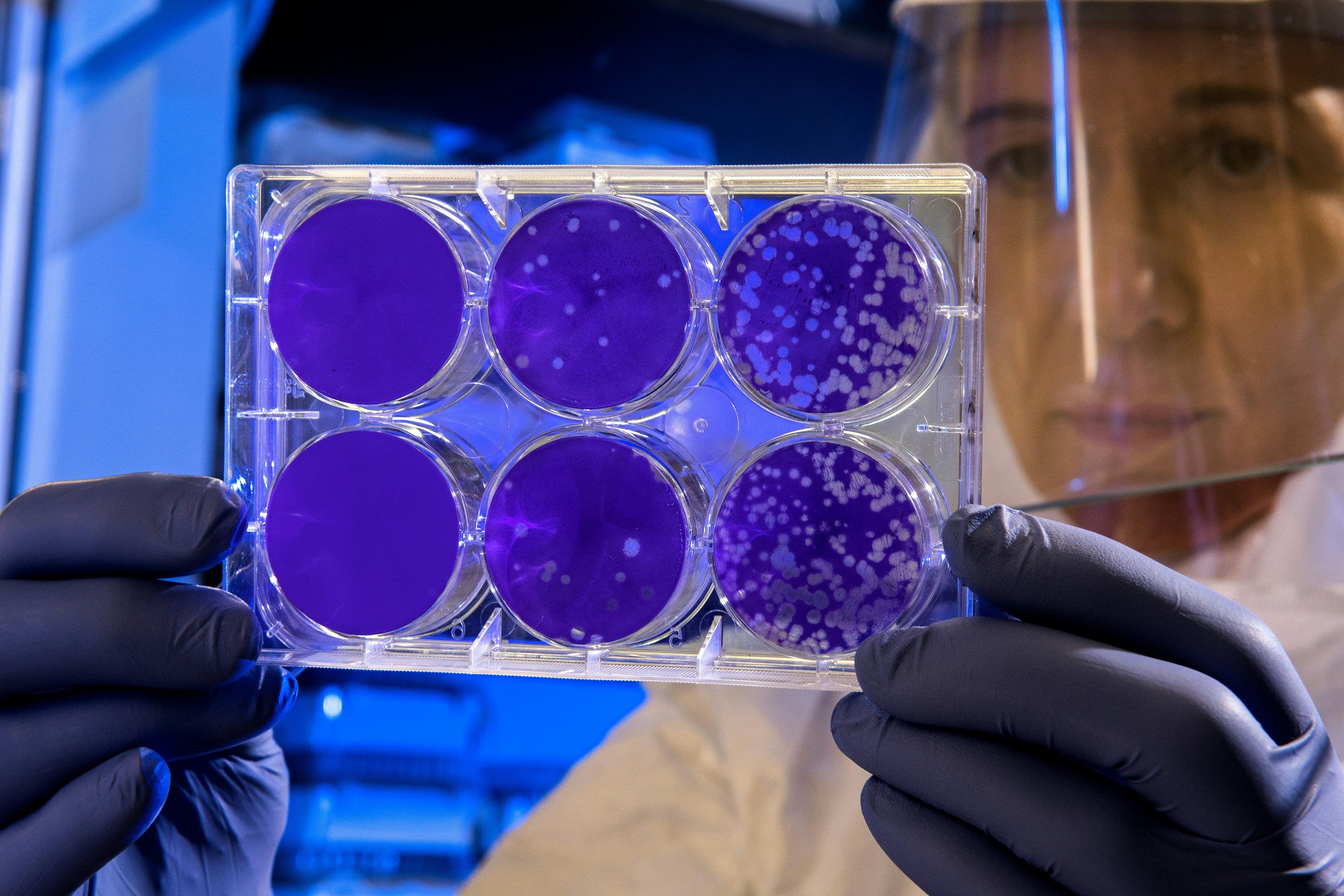 hero image of cytotoxicity test